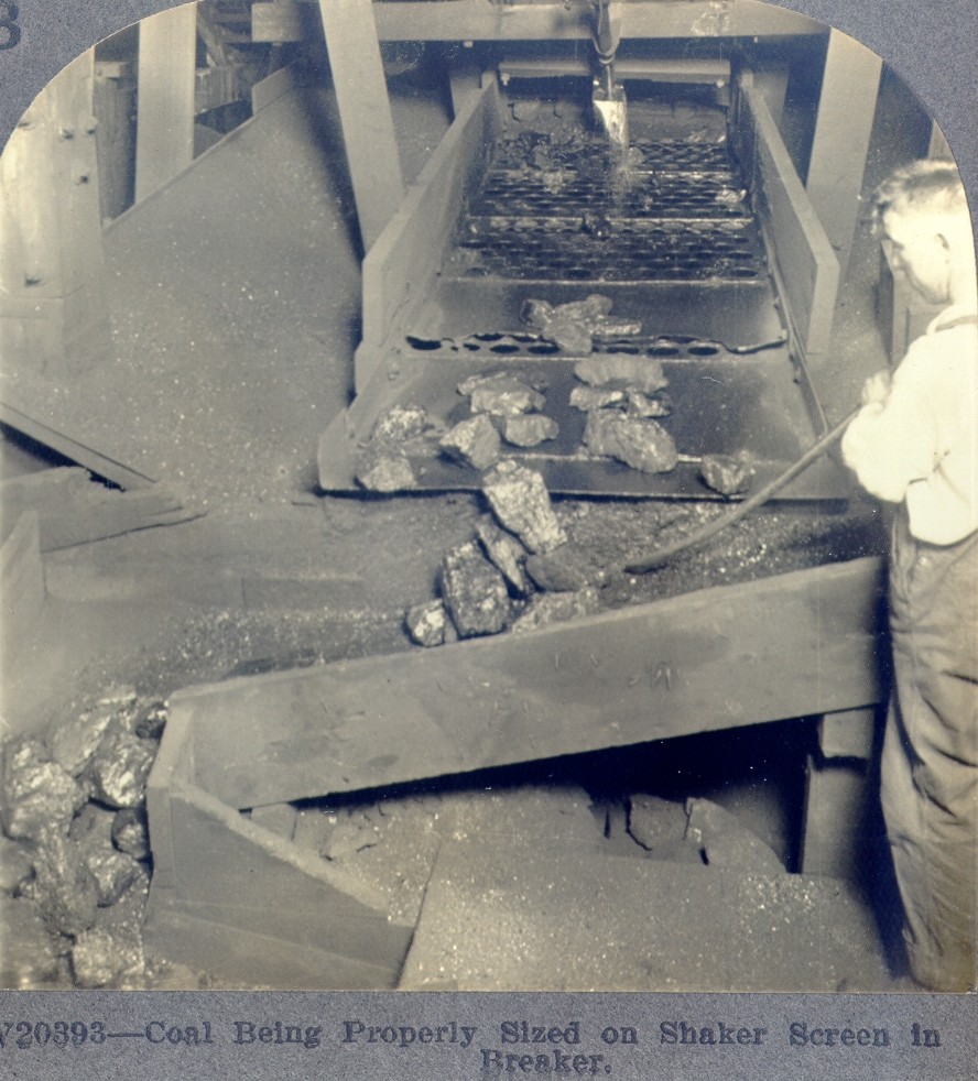 Coal Being Sized on Shaker Screens