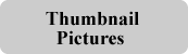 View Historical Pictures as Thumbnails